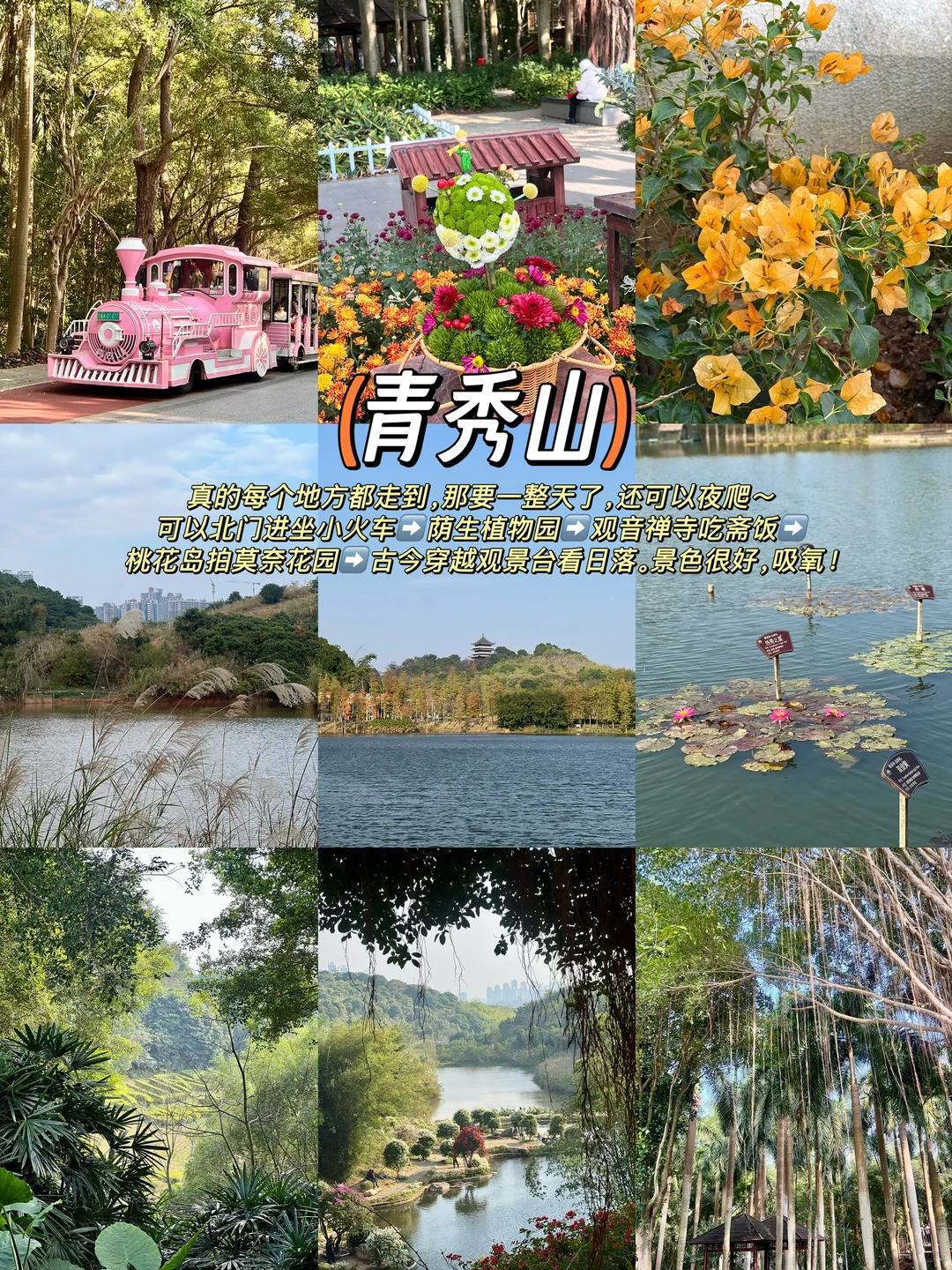 南宁三天两晚不踩雷吃喝玩乐攻略！