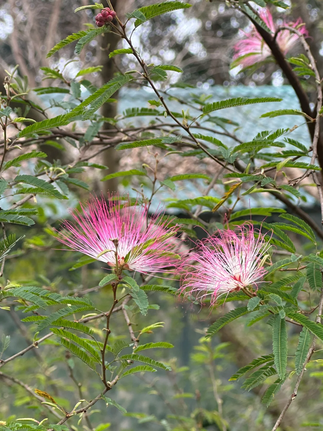 🌆北京✈南宁 | 两天一夜超嗨吃玩全记录✨