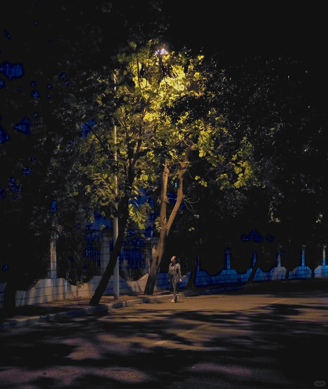 街头摄影｜琅西夜色