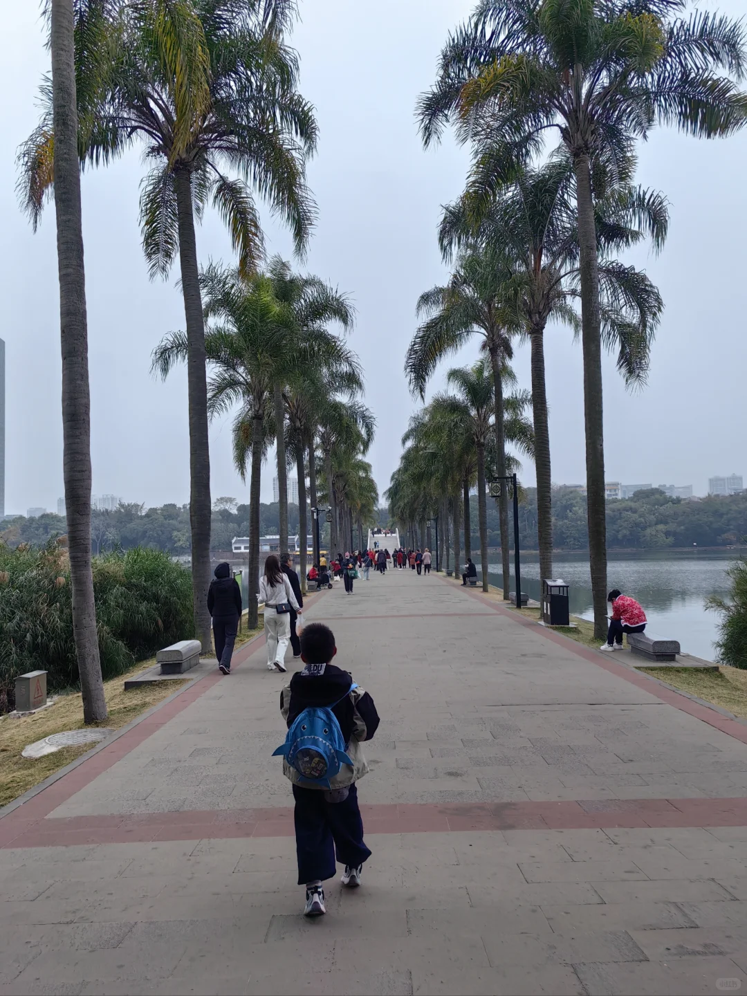 南宁怎么这么好啊！！！不想走了！！