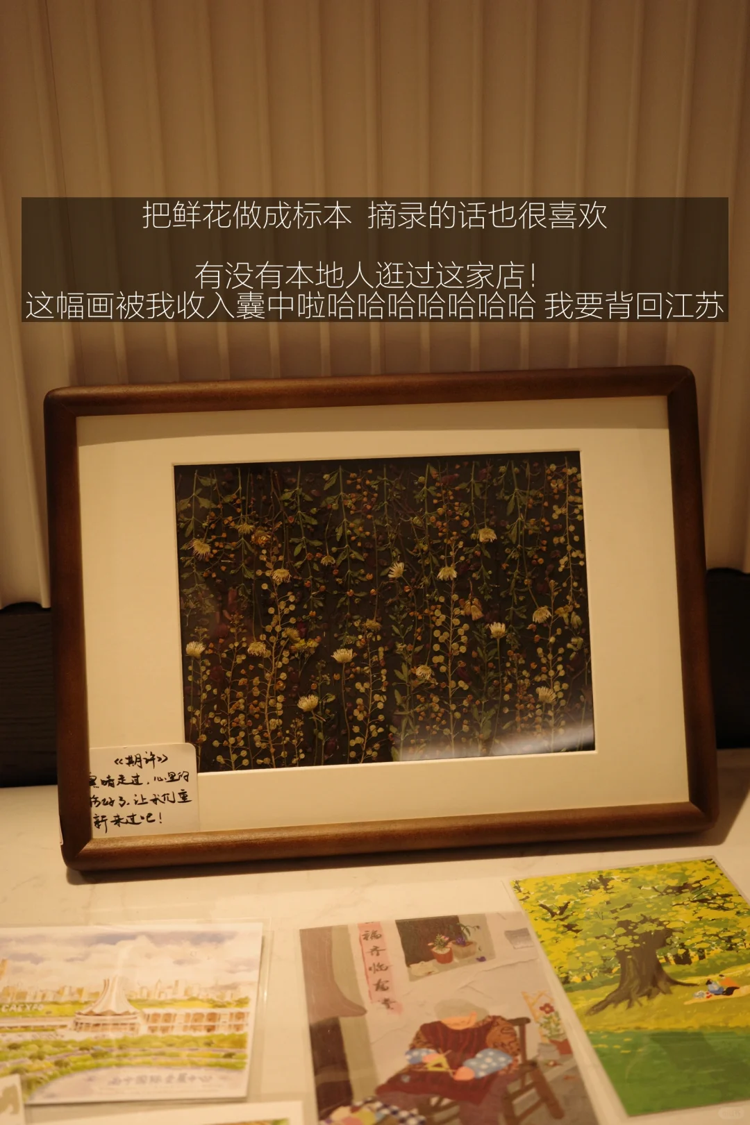 南宁旅游攻略（年轻人版！）