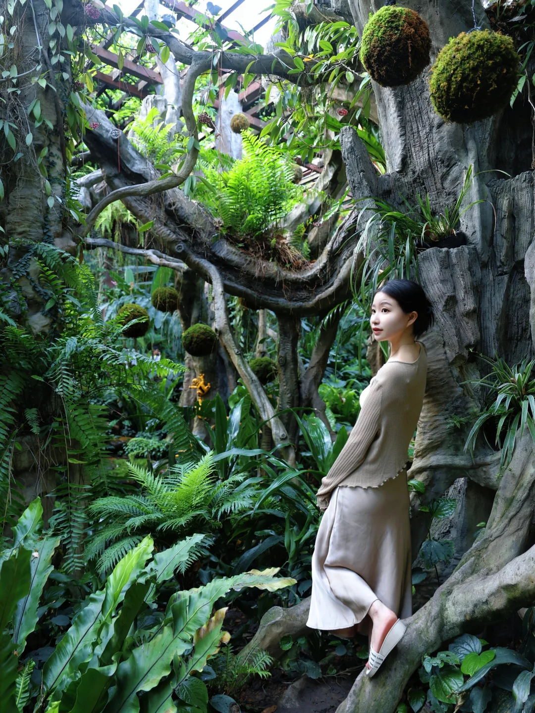 【青秀山】最大的骗局就是它的名字