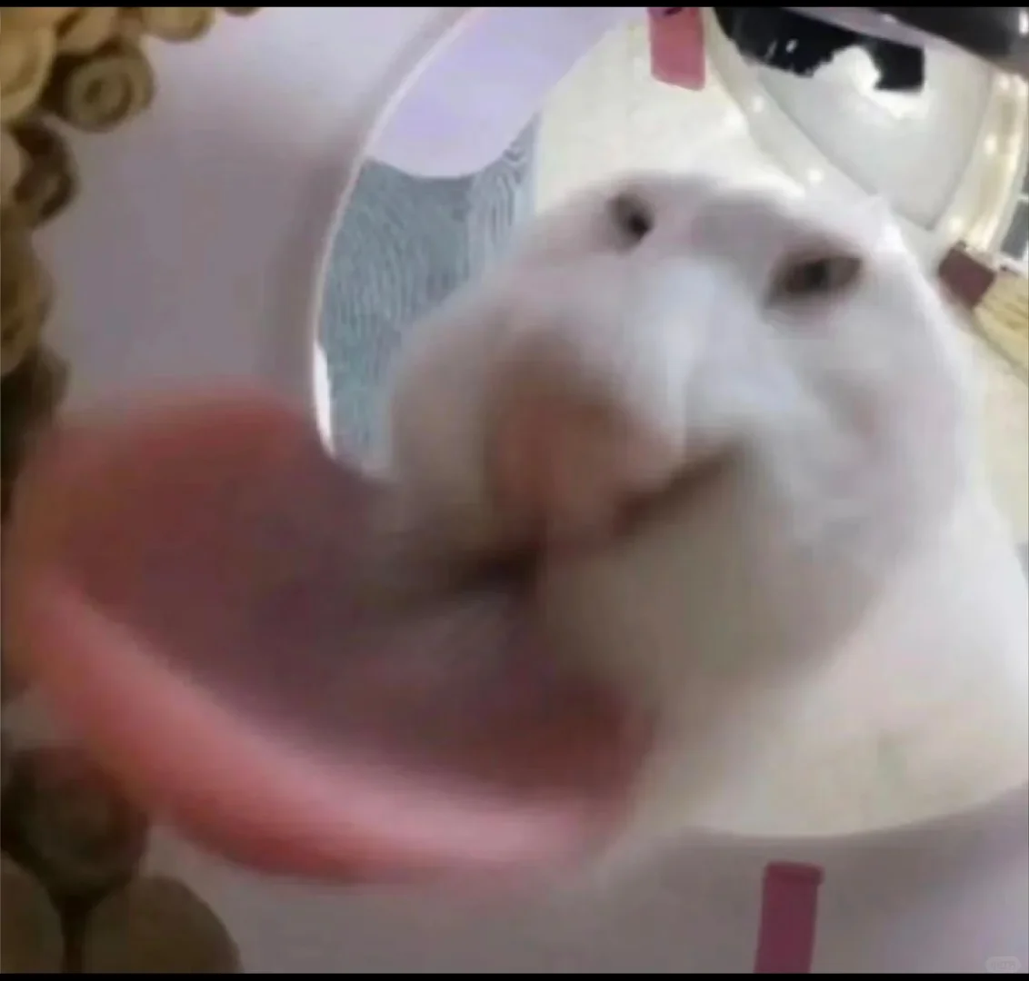 南宁本地人找对象