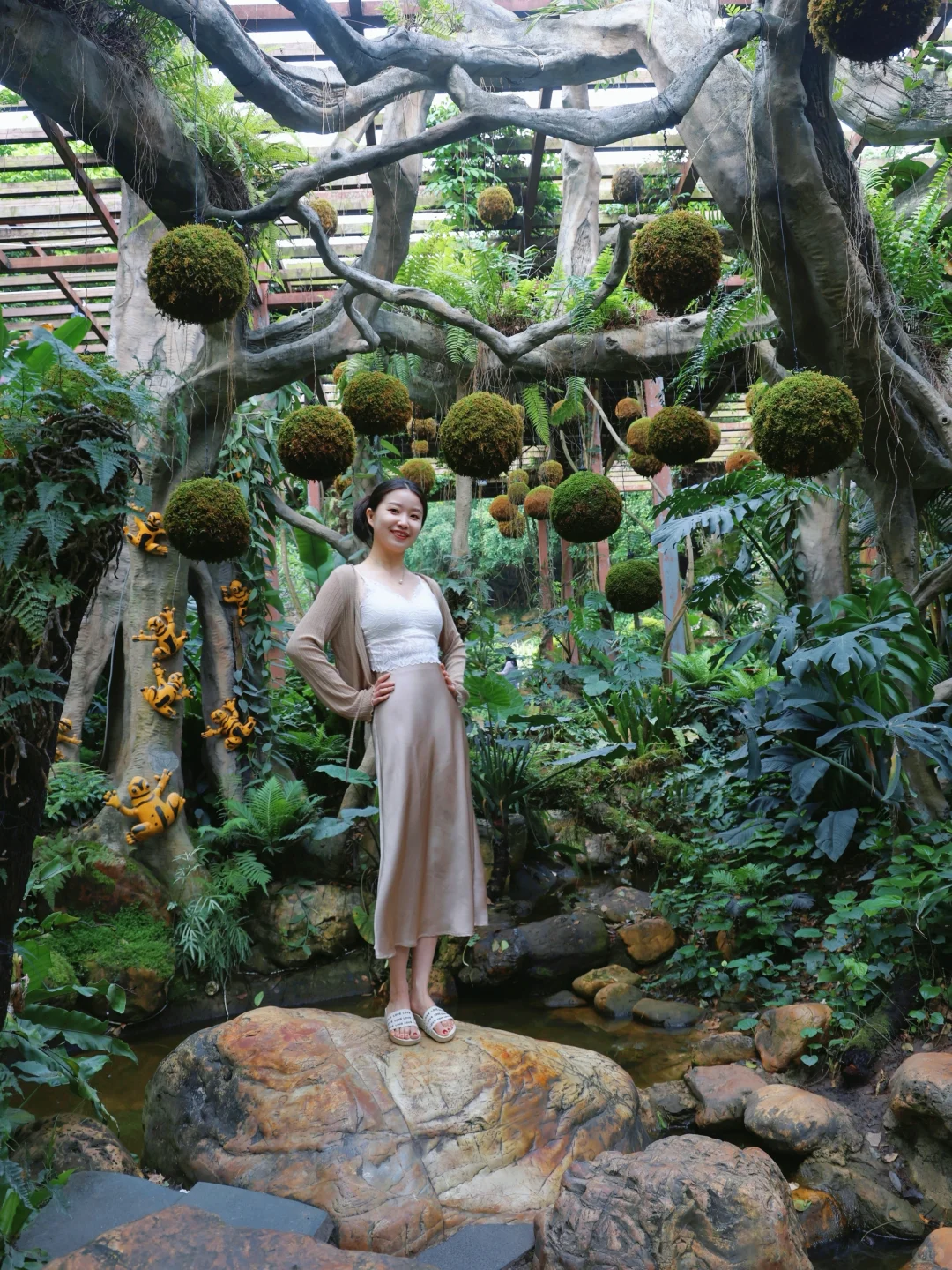 【青秀山】最大的骗局就是它的名字