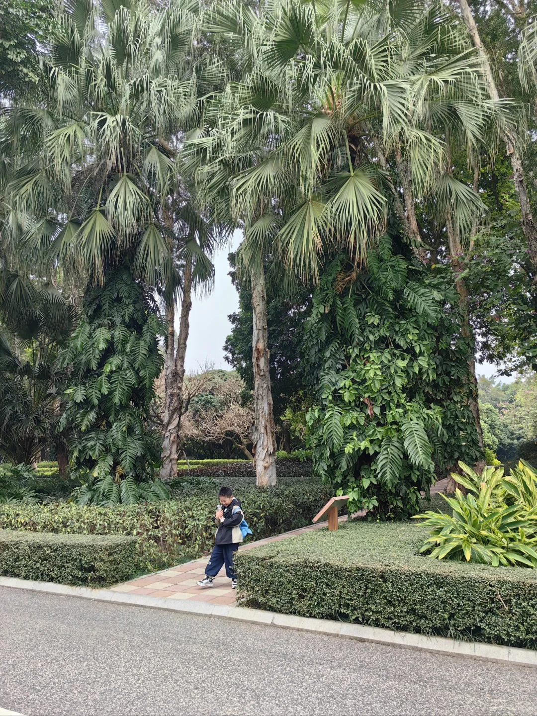 南宁怎么这么好啊！！！不想走了！！