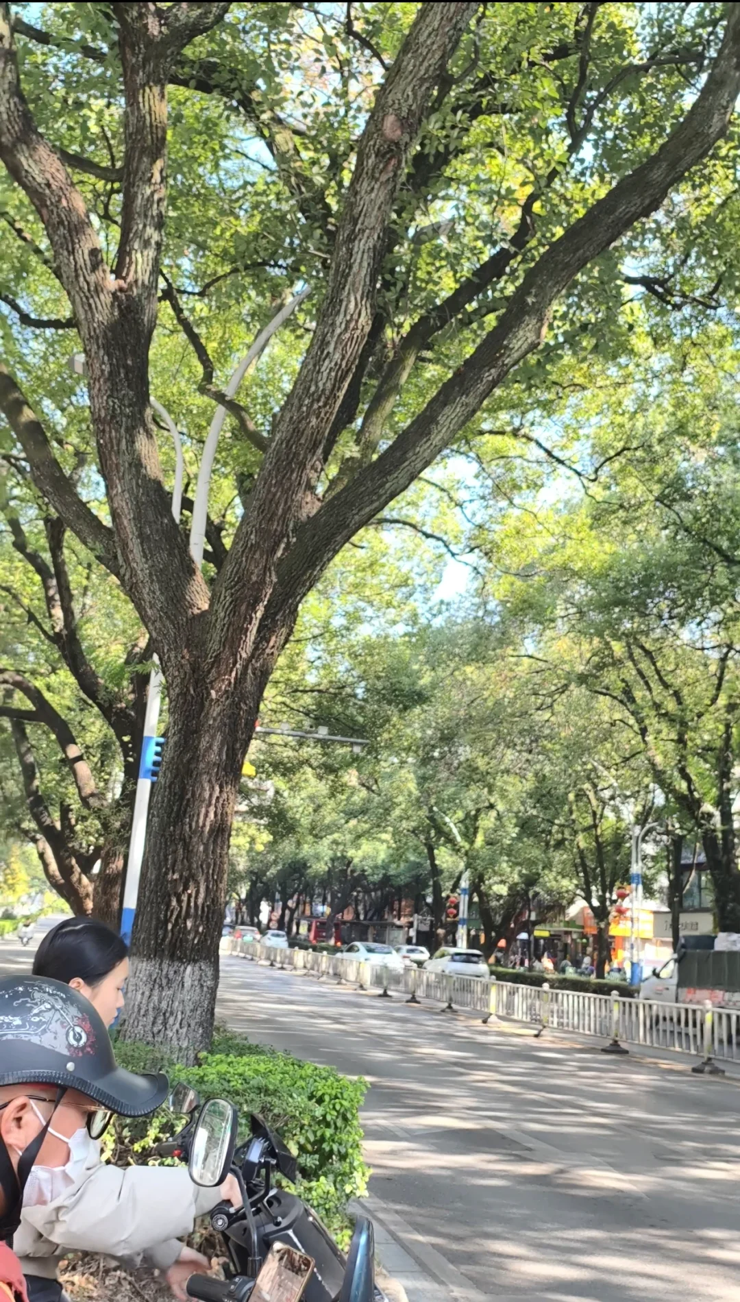 广西出差记录第2️⃣天来南宁🦊家乡