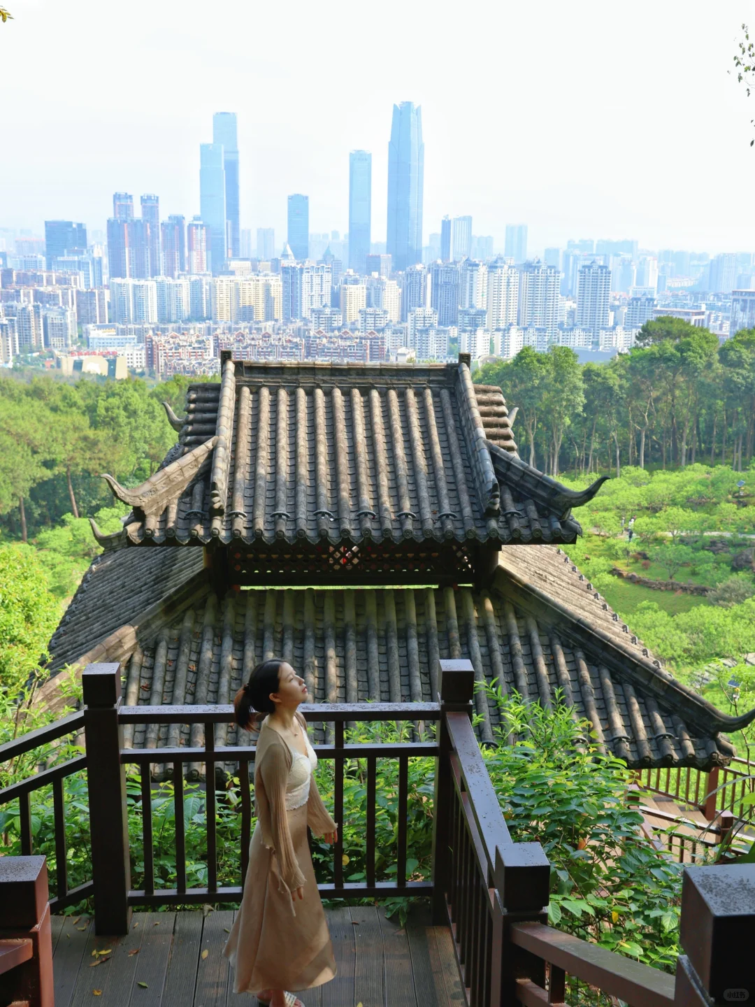【青秀山】最大的骗局就是它的名字