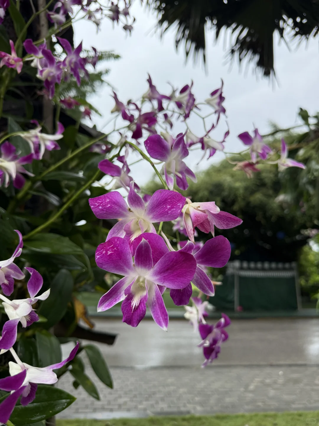 广西六天五晚漫游攻略｜柳州+南宁+崇左深