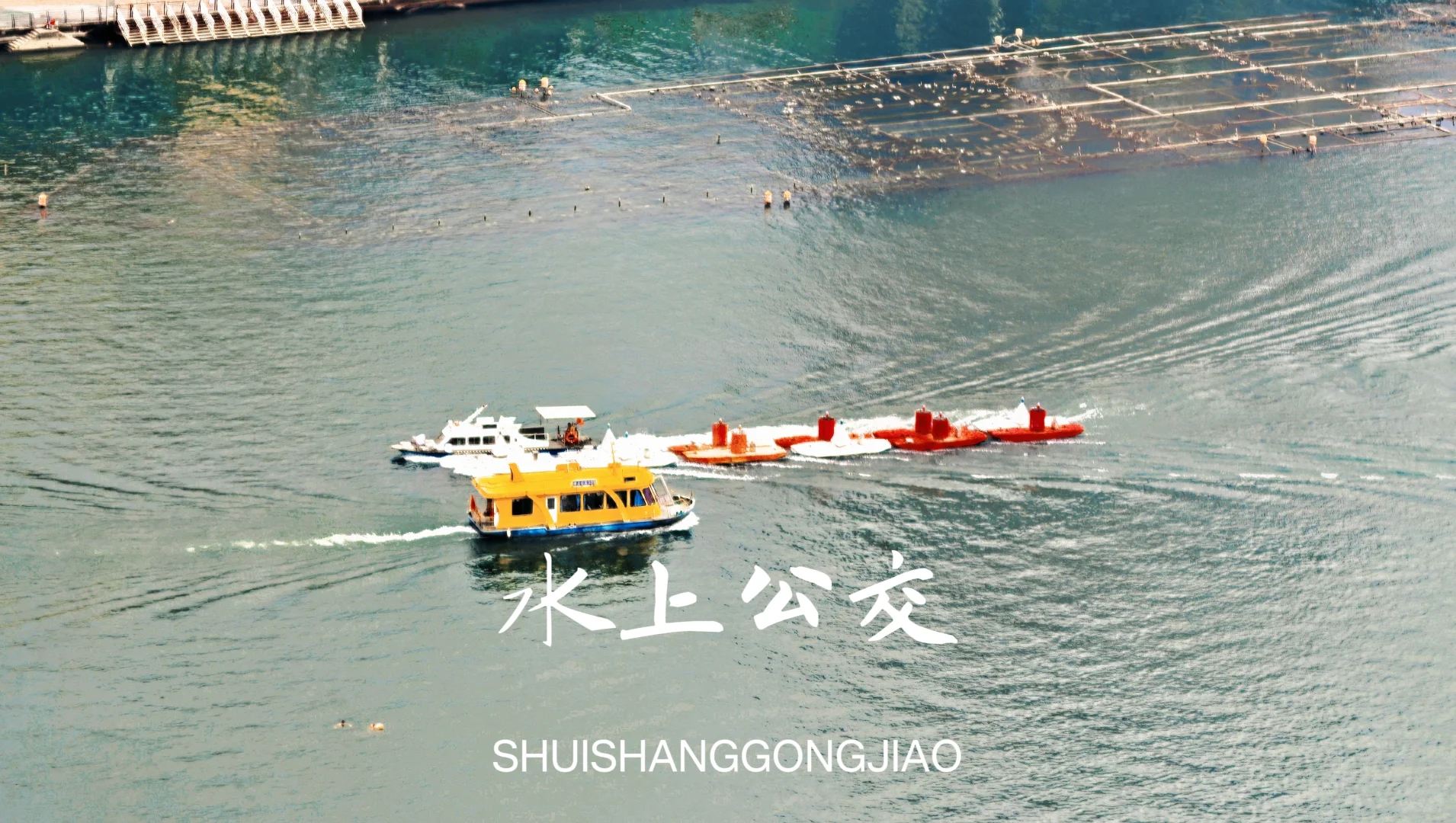 在柳州当了一天“柳Yorker”！