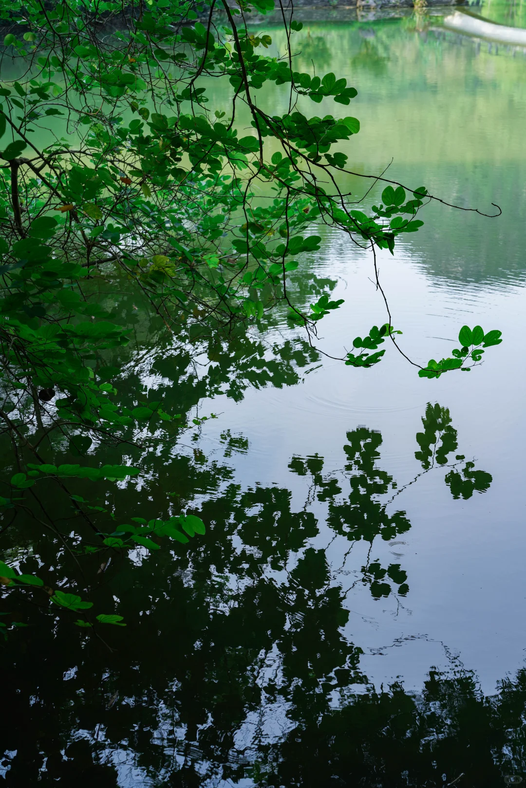 不吃螺蛳粉，柳州还值得去玩吗🐲