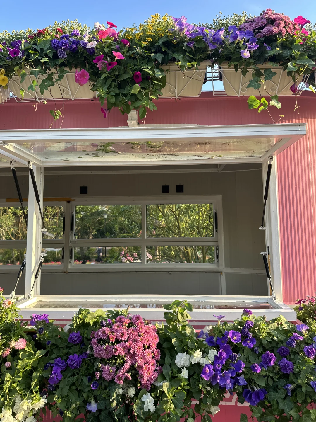 听说北方人这时候都很羡慕南方??