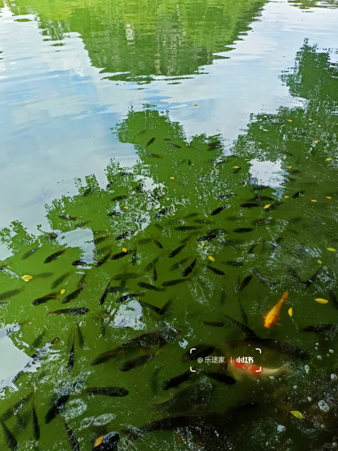 刚离开柳州，说点大实话，建议看完再去！