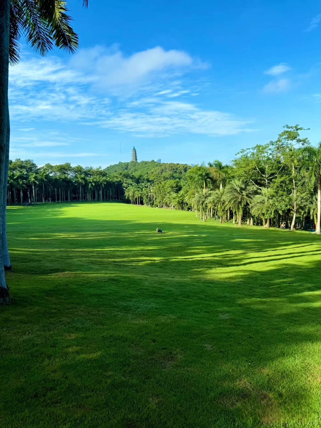 南宁唯一可以citywalk30000步的地方