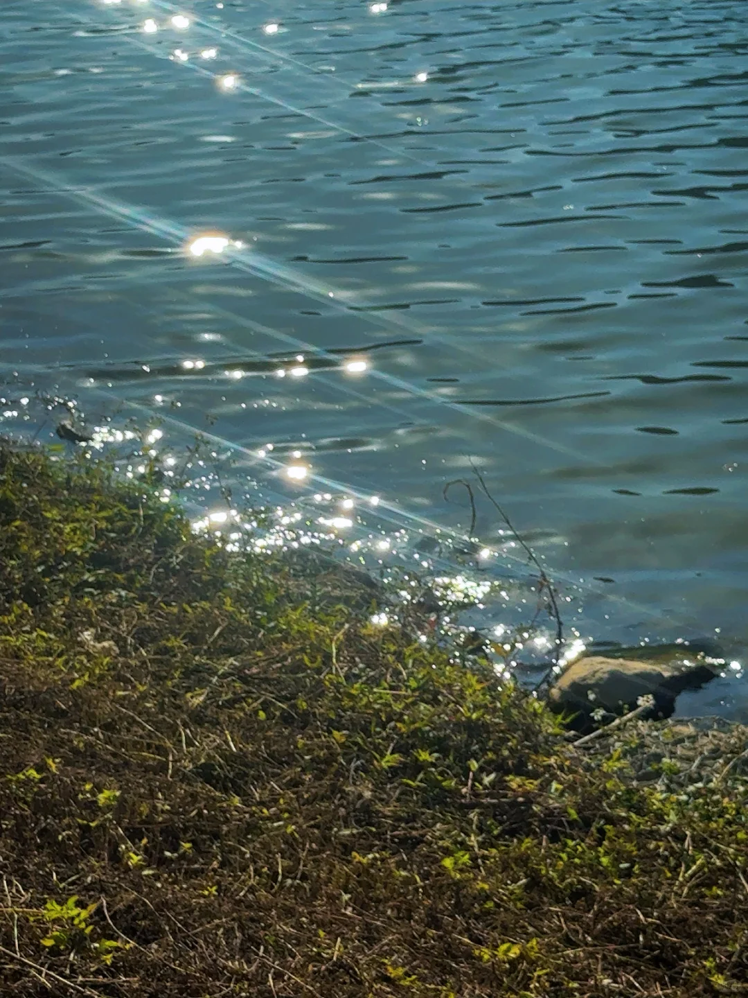 来柳州看“海”🌊、这里太适合拍照了～～