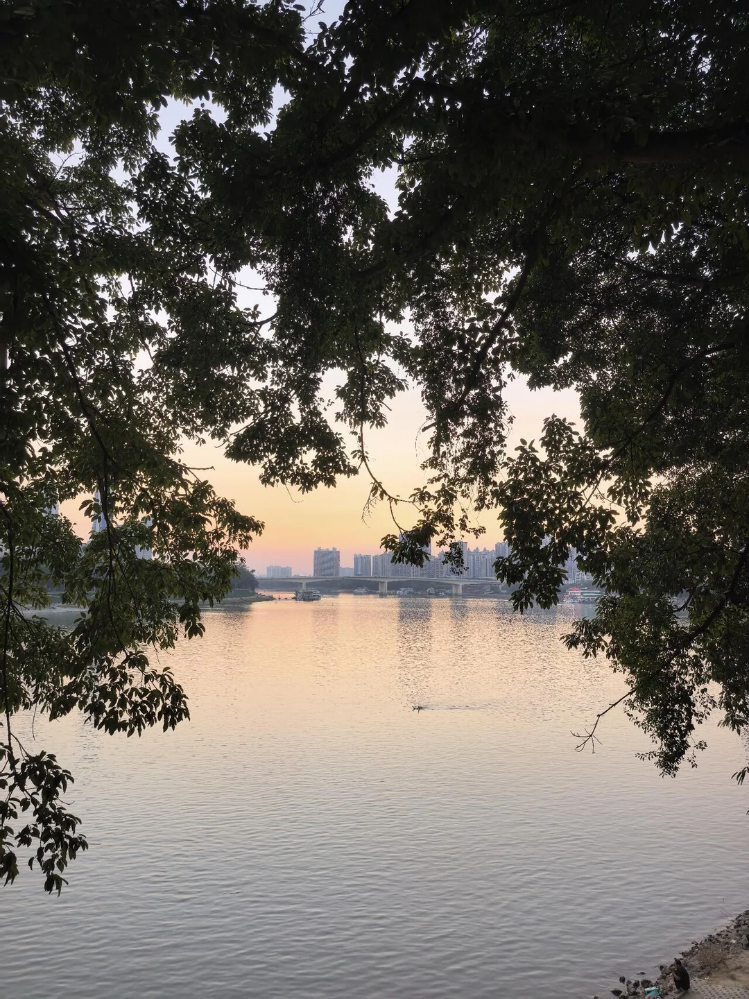 南宁真的很好睡 很宜居