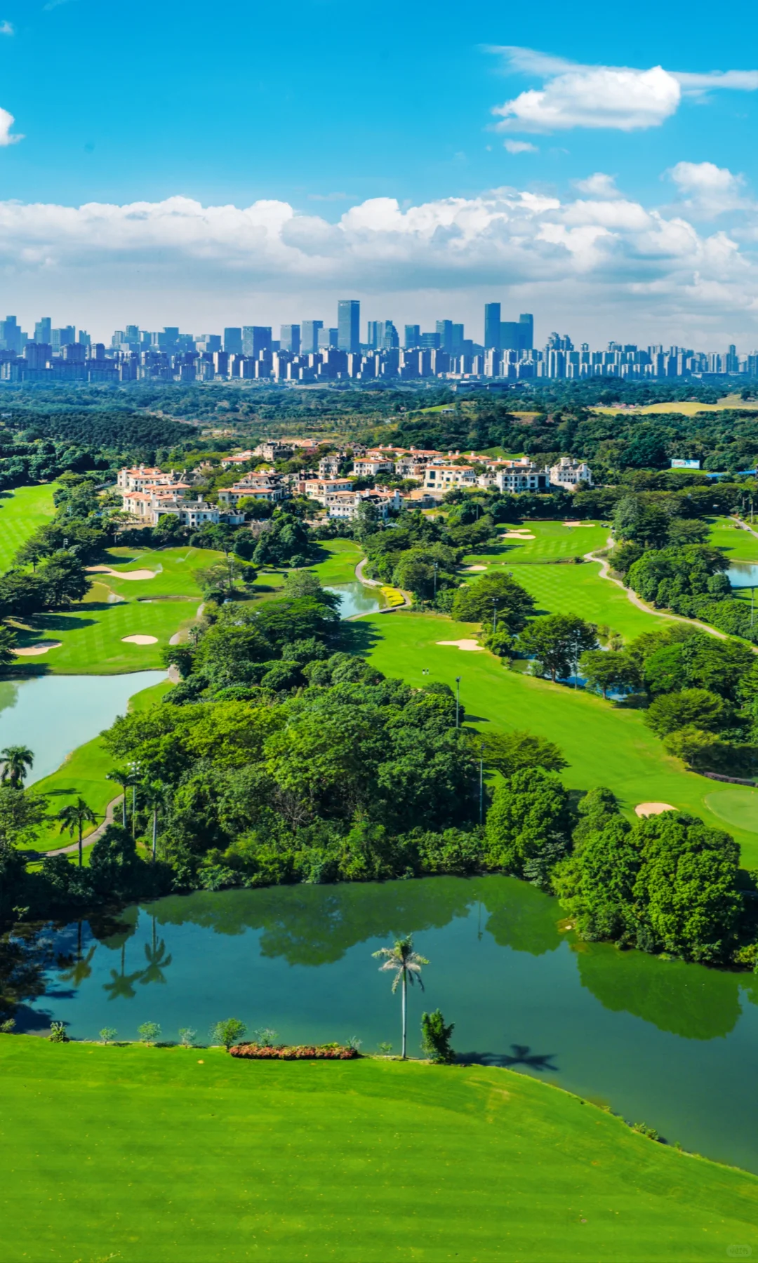 离开南宁才知道绿城两个字的含金量有多高