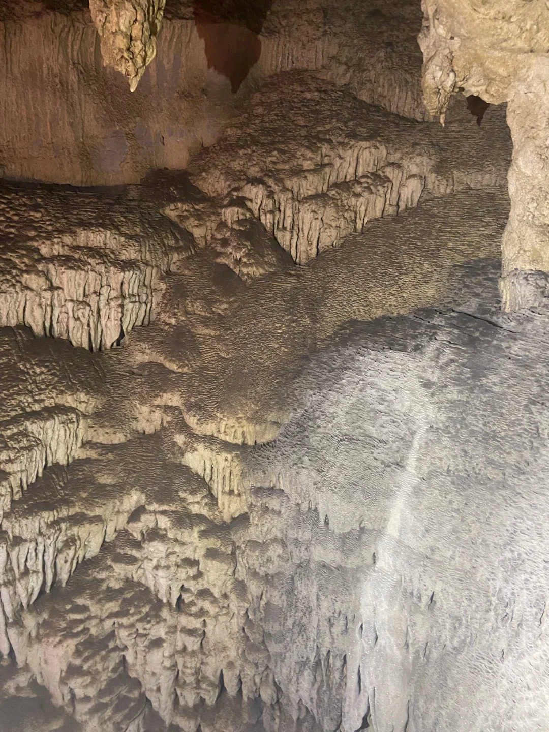 后劲太大❗️柳州居然藏了个全国No1博物馆