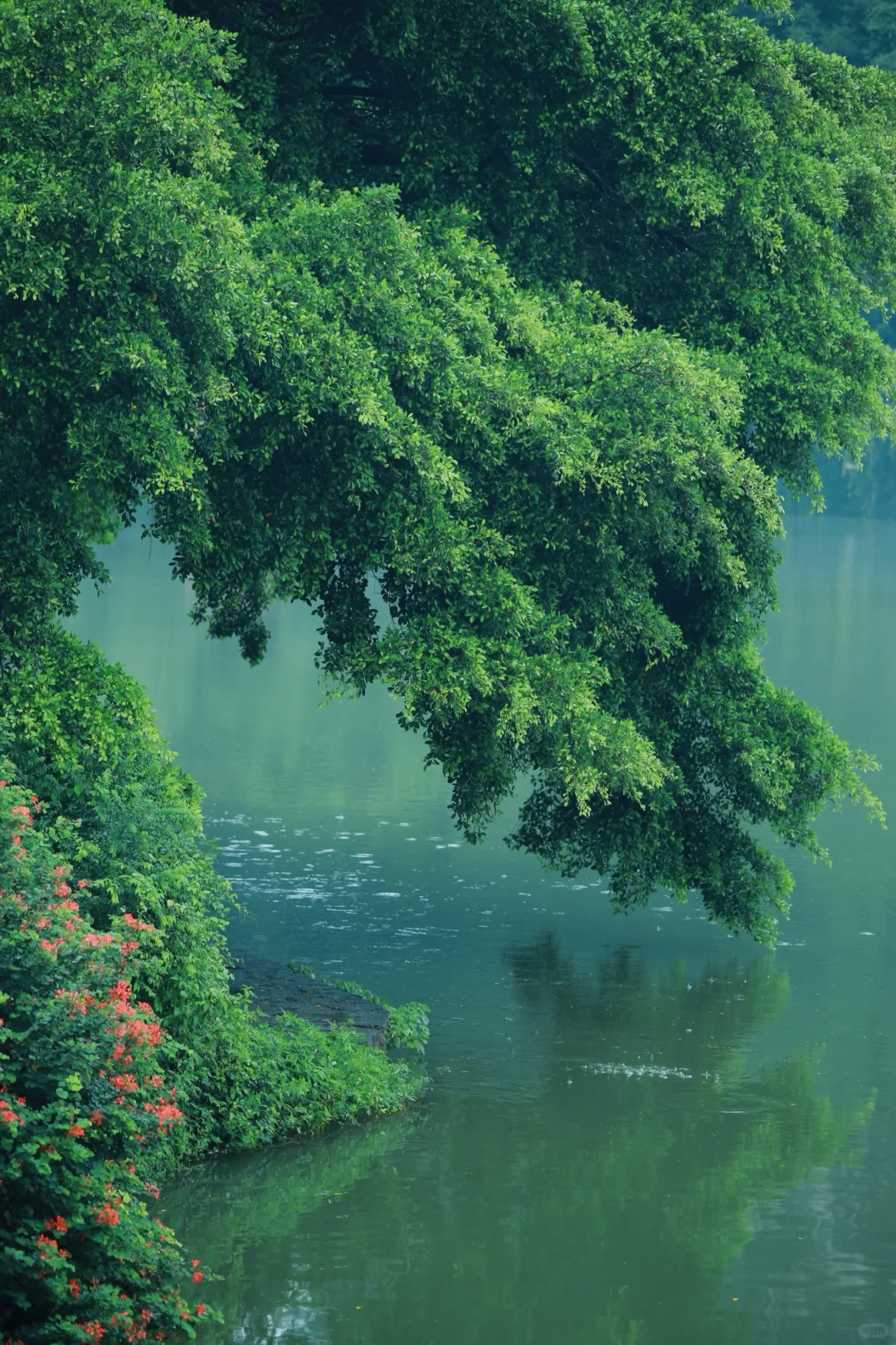 淡季的柳州你可别太美了