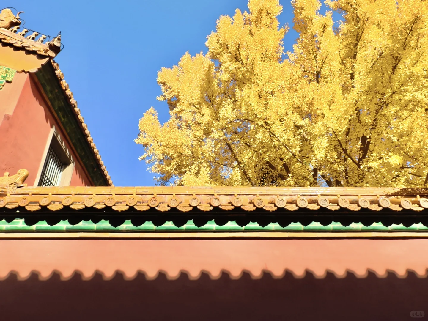 南宁周末两天赏秋攻略🍁看着一篇就够啦‼️