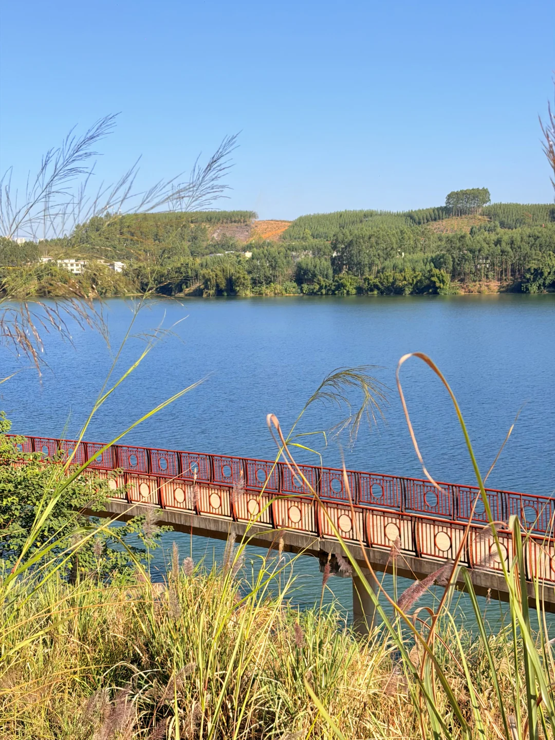 柳州人。。。。有自己的“洱海”。。。！