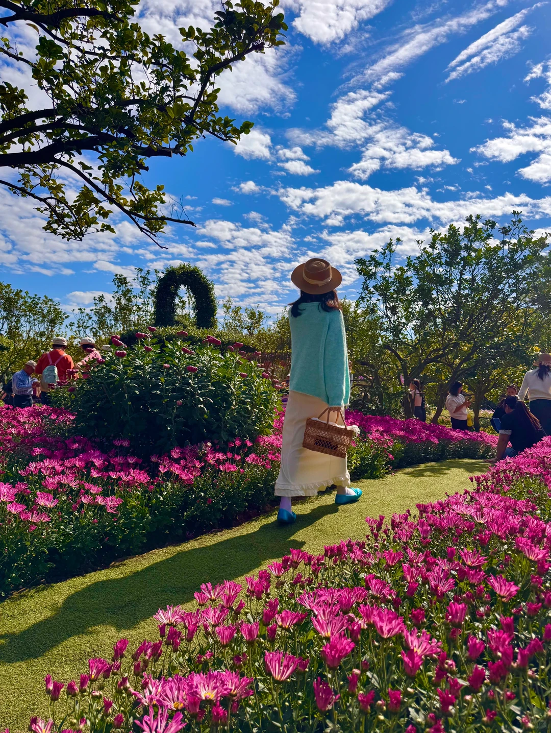 南宁菊花展！！第一梯队速报！！