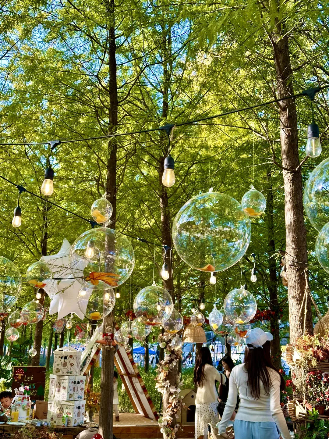 南宁！可以待一整天的绿光森林！！