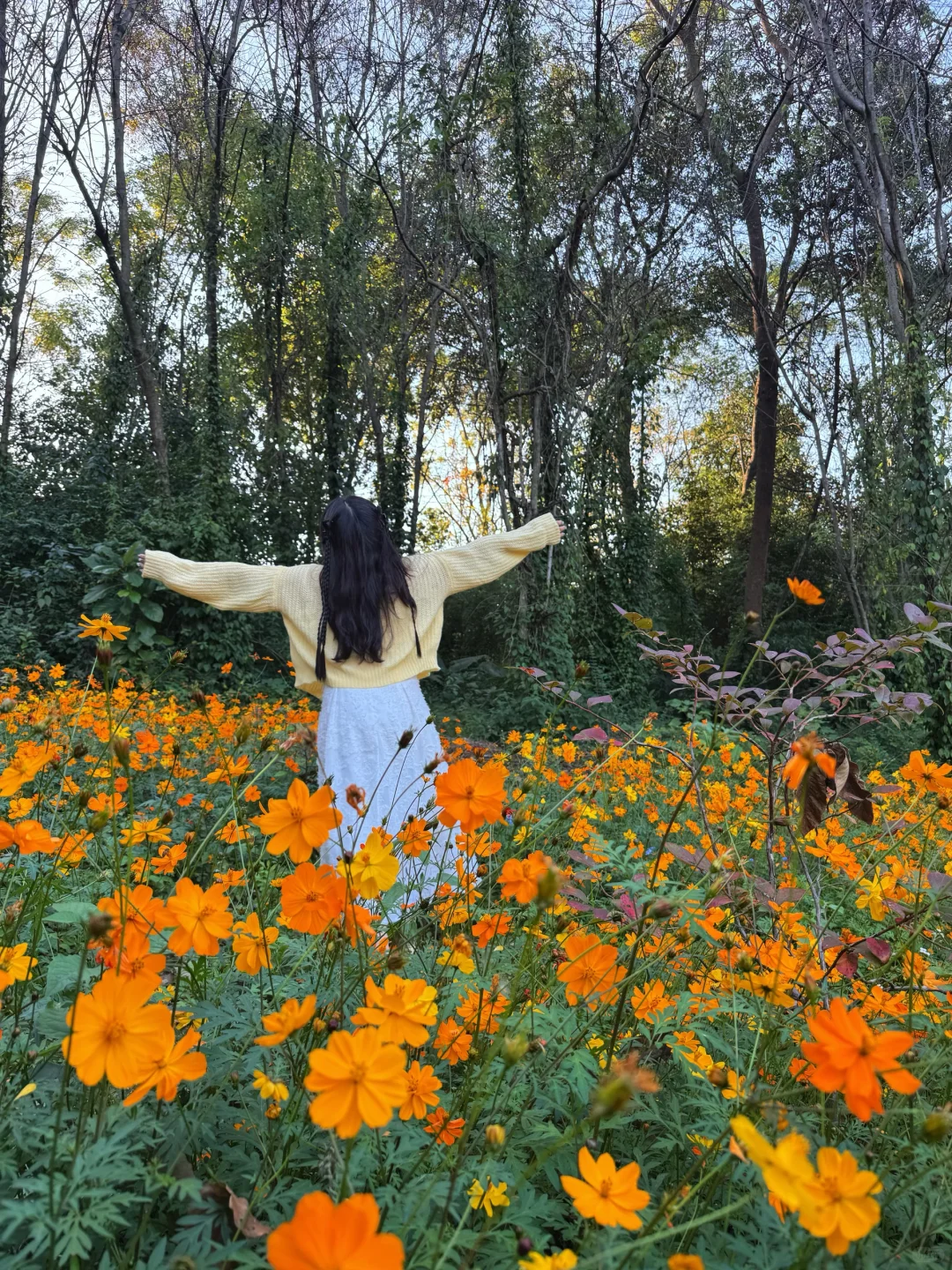 柳州｜漫花庄园太适合拍照📷了吧