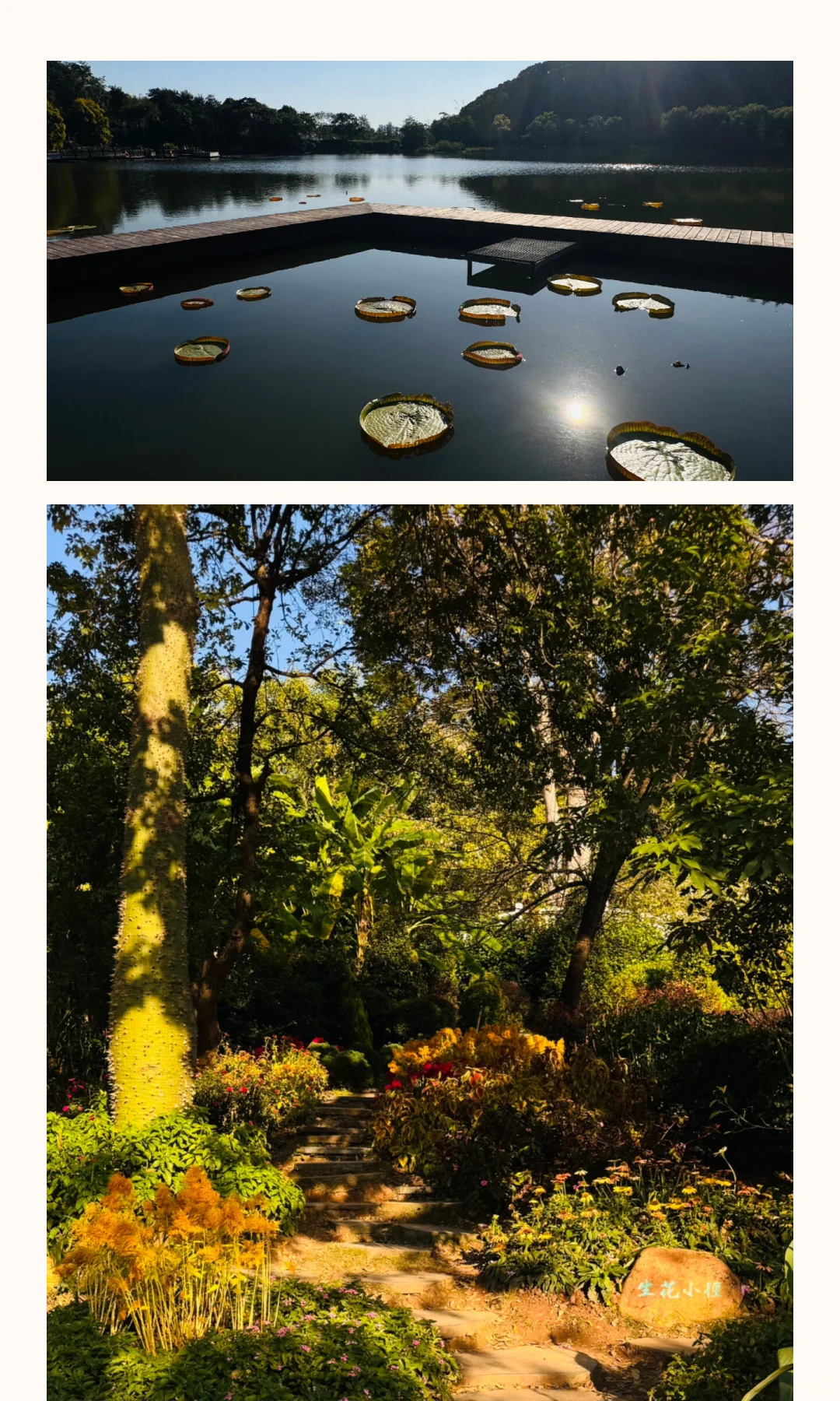 南宁青秀山11月份游玩攻略