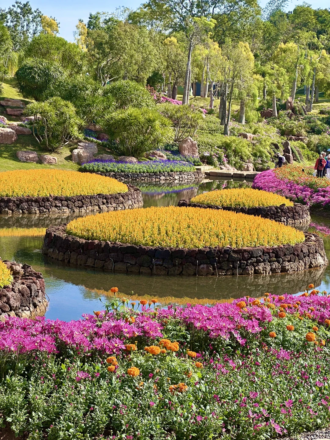 11.27青秀山实况！美得像童话