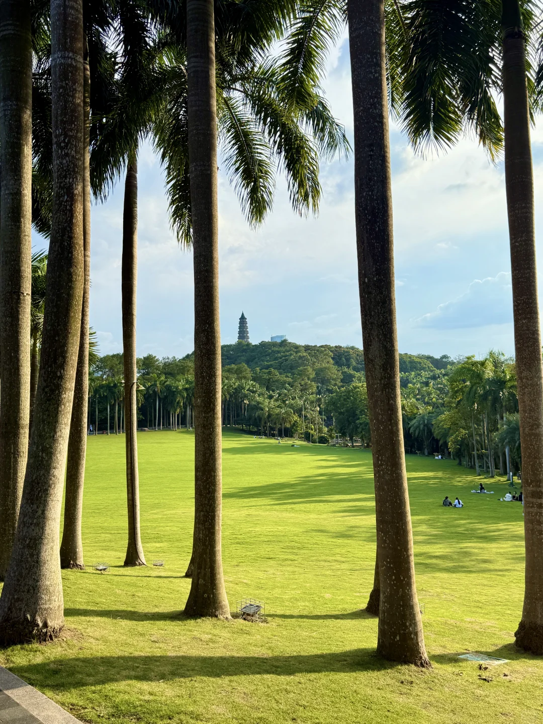 南宁青秀山4️⃣小时，不费脚！出片机位全攻略