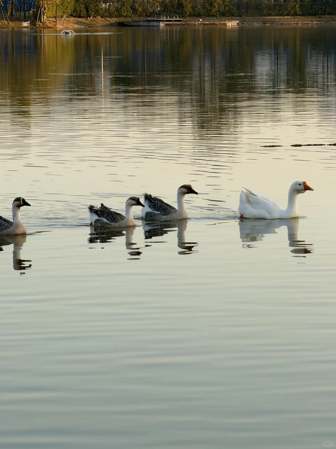 柳州的这里好chill！