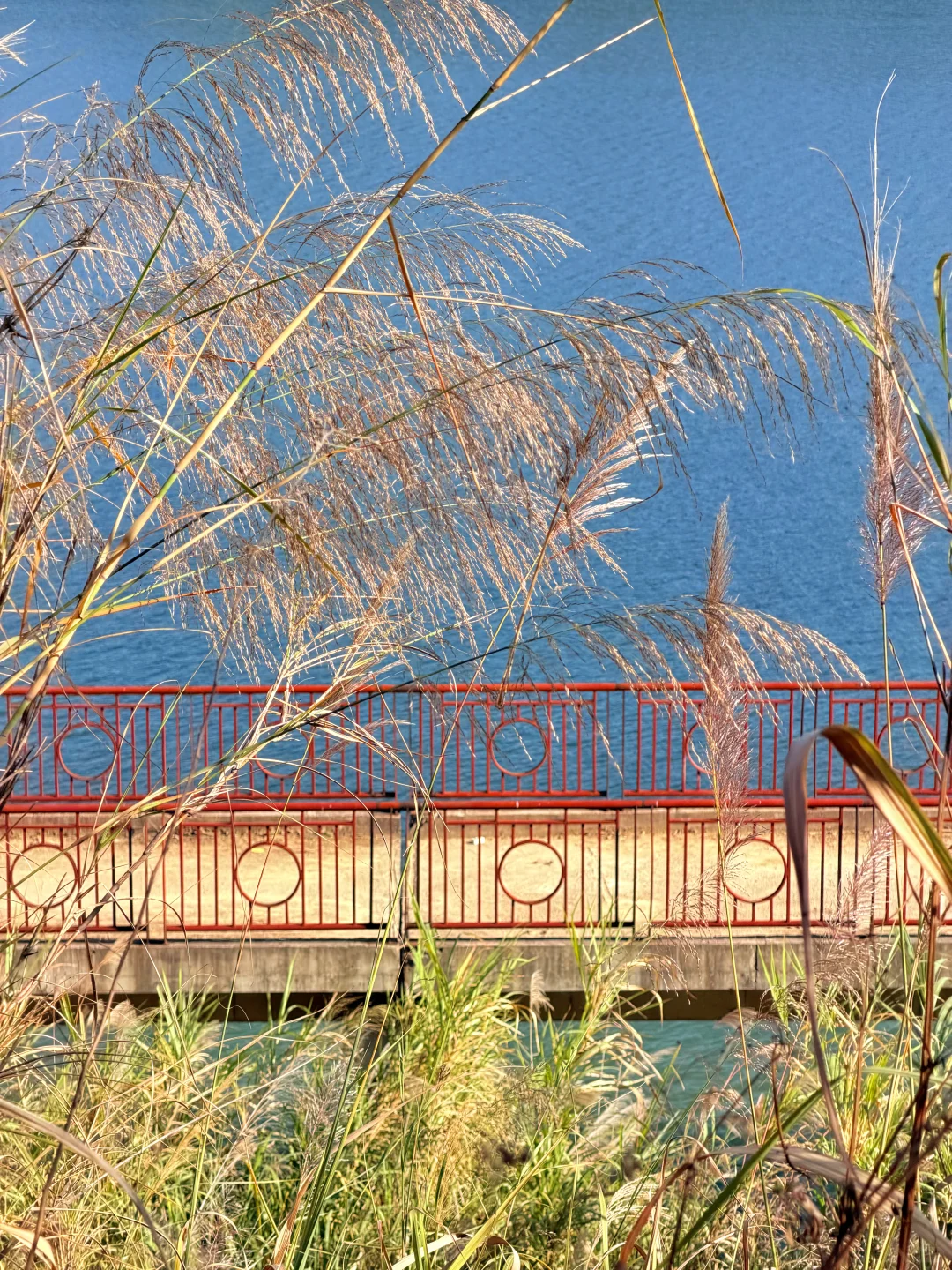 柳州人。。。。有自己的“洱海”。。。！