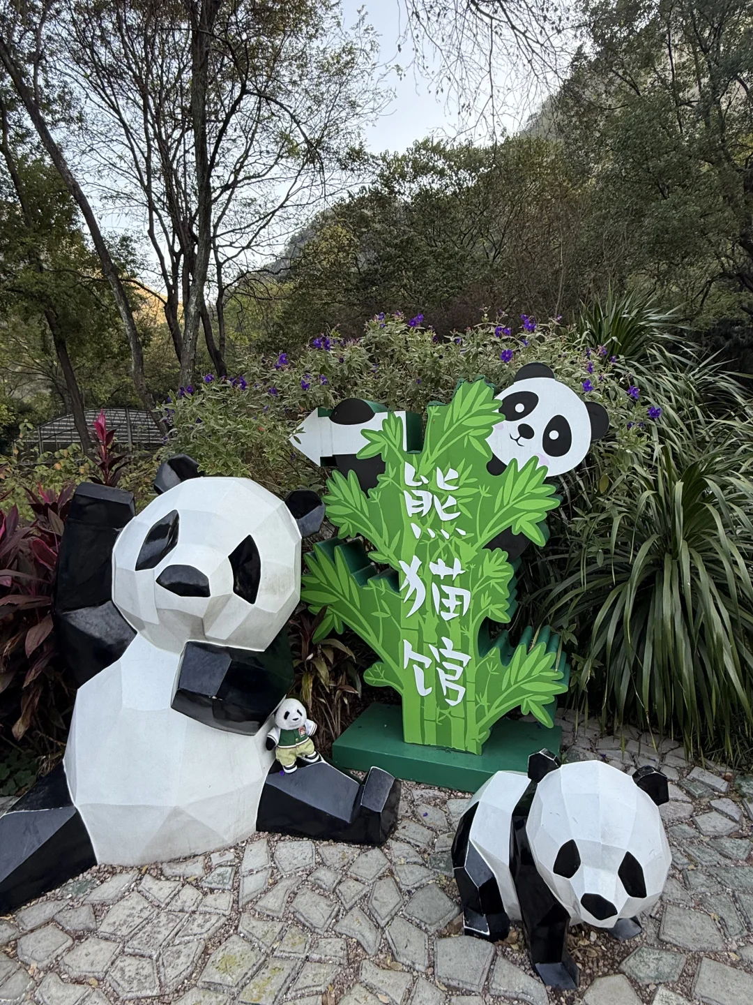 mini么去柳州动物园看大熊猫明浜&蜀琳