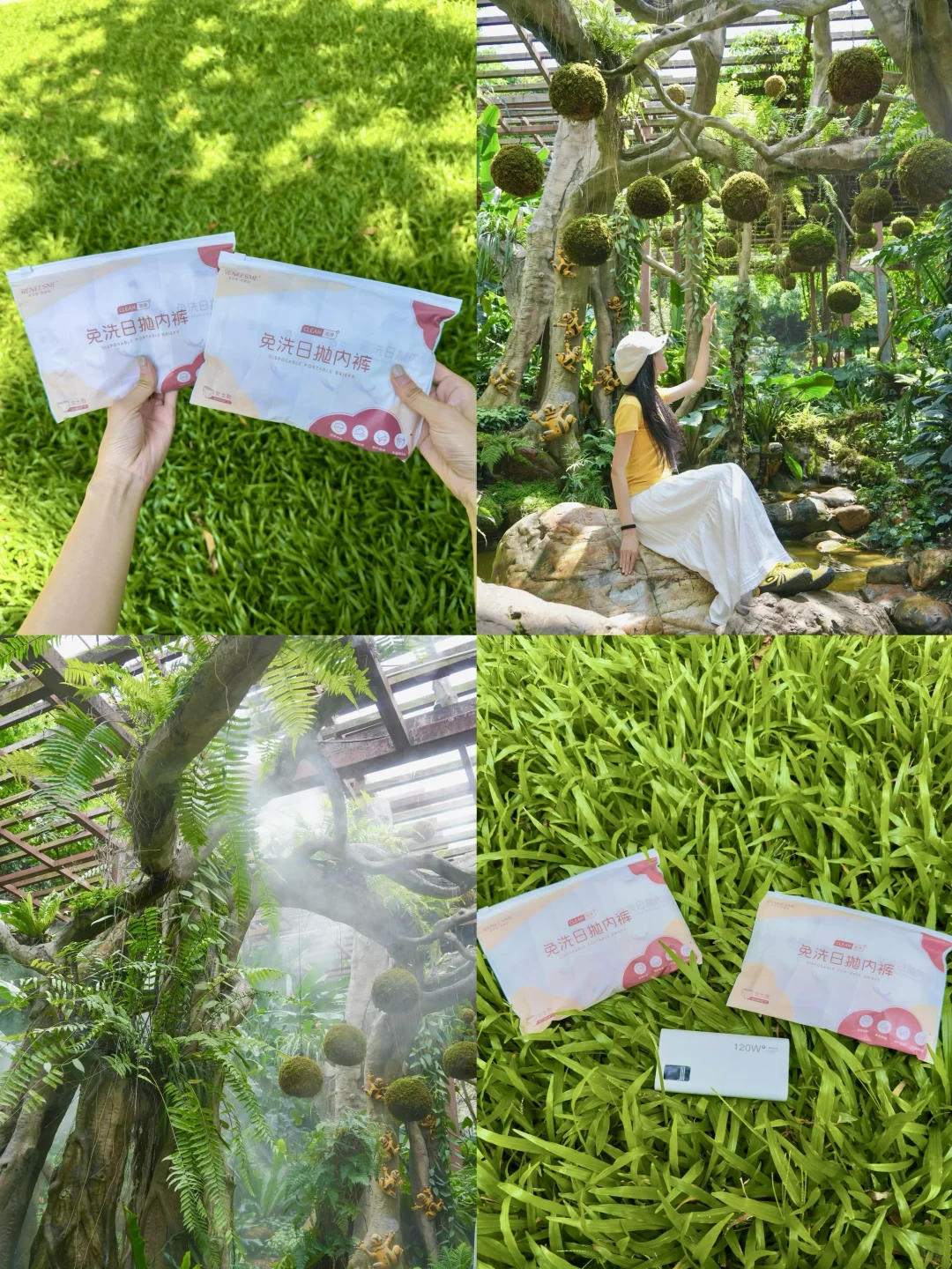 抄作业！来南宁玩两天，请直接复制这条路线‼️