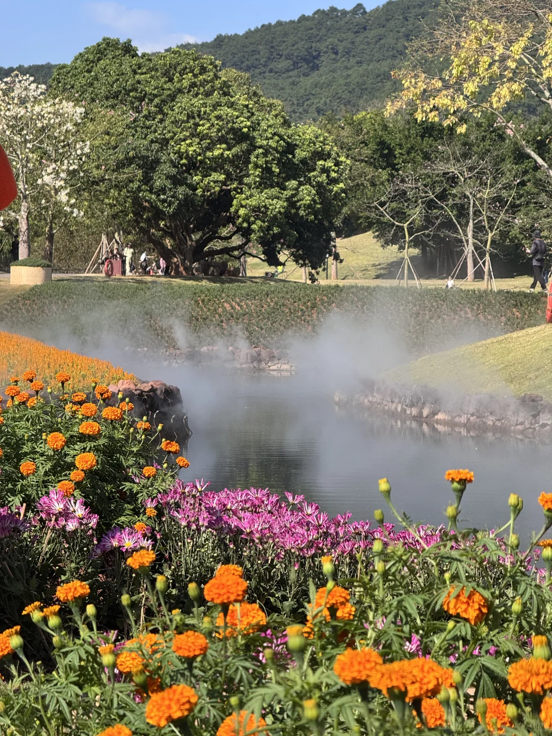 南宁菊花展！！第一梯队速报！！