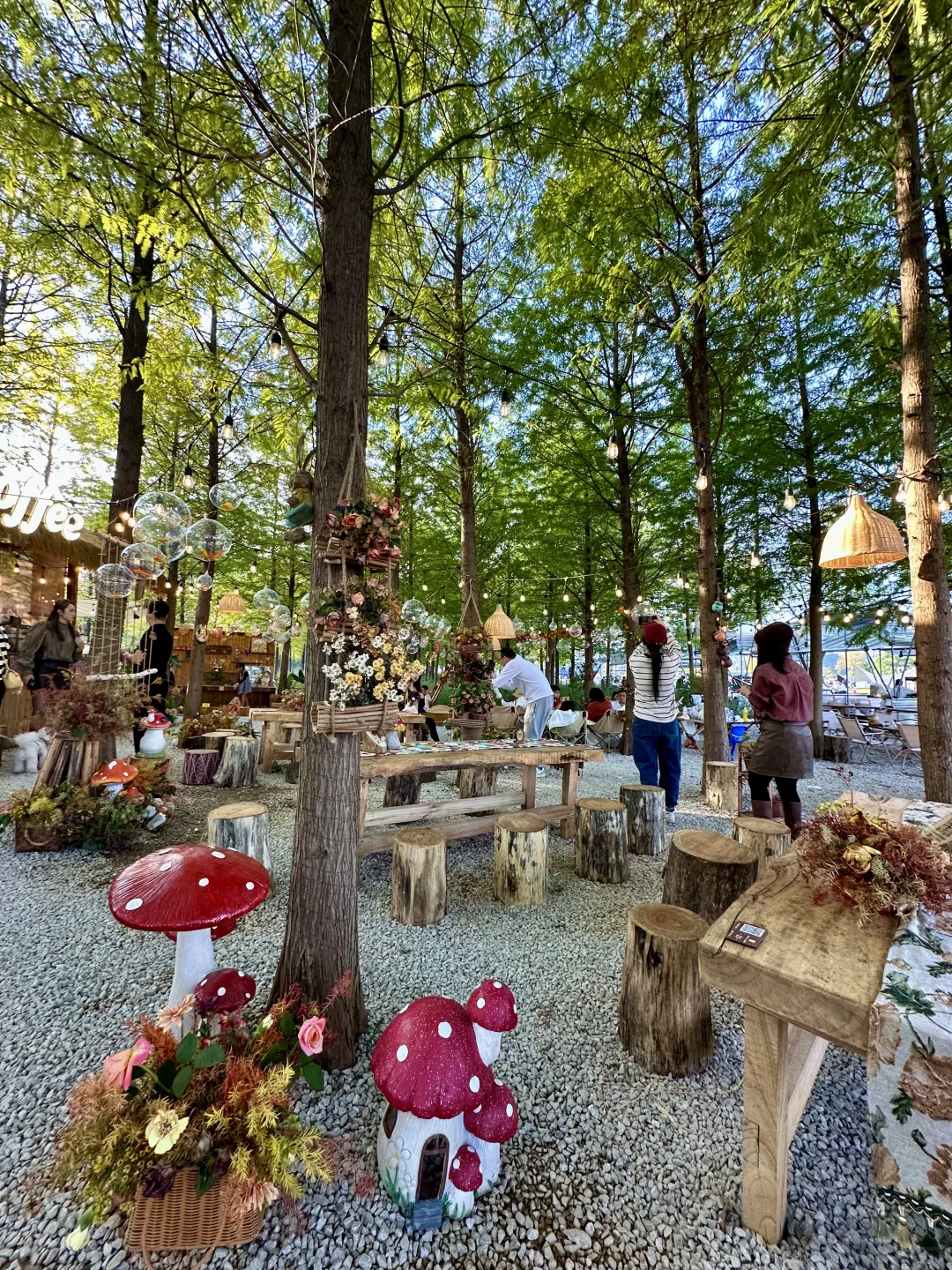 南宁！可以待一整天的绿光森林！！