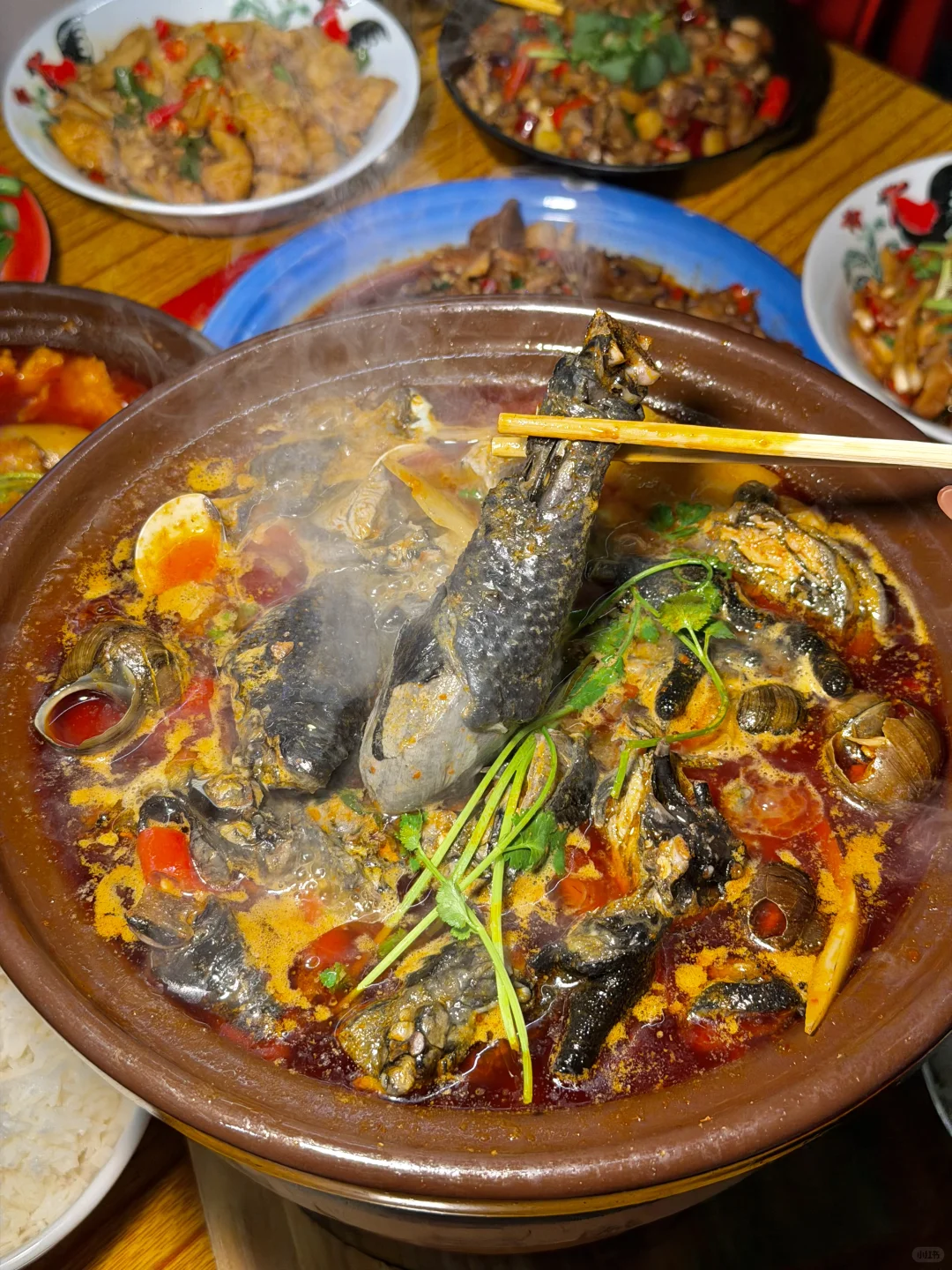 卧卧卧。。。。柳州有这么好吃的田螺乌鸡煲啊！