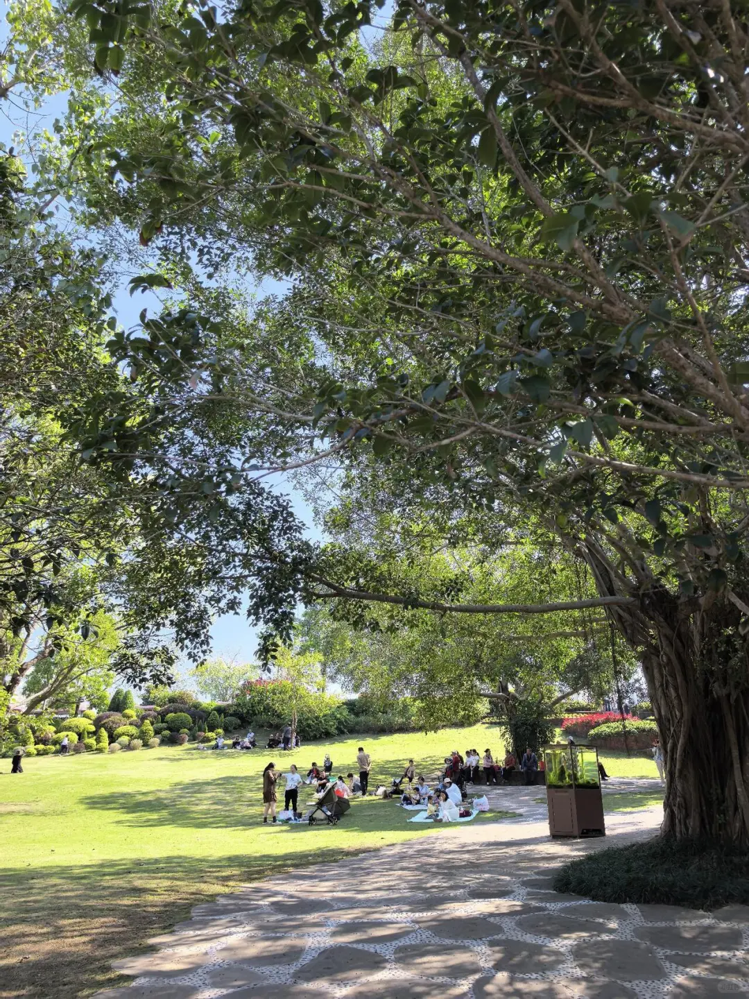 南宁真的很好睡 很宜居