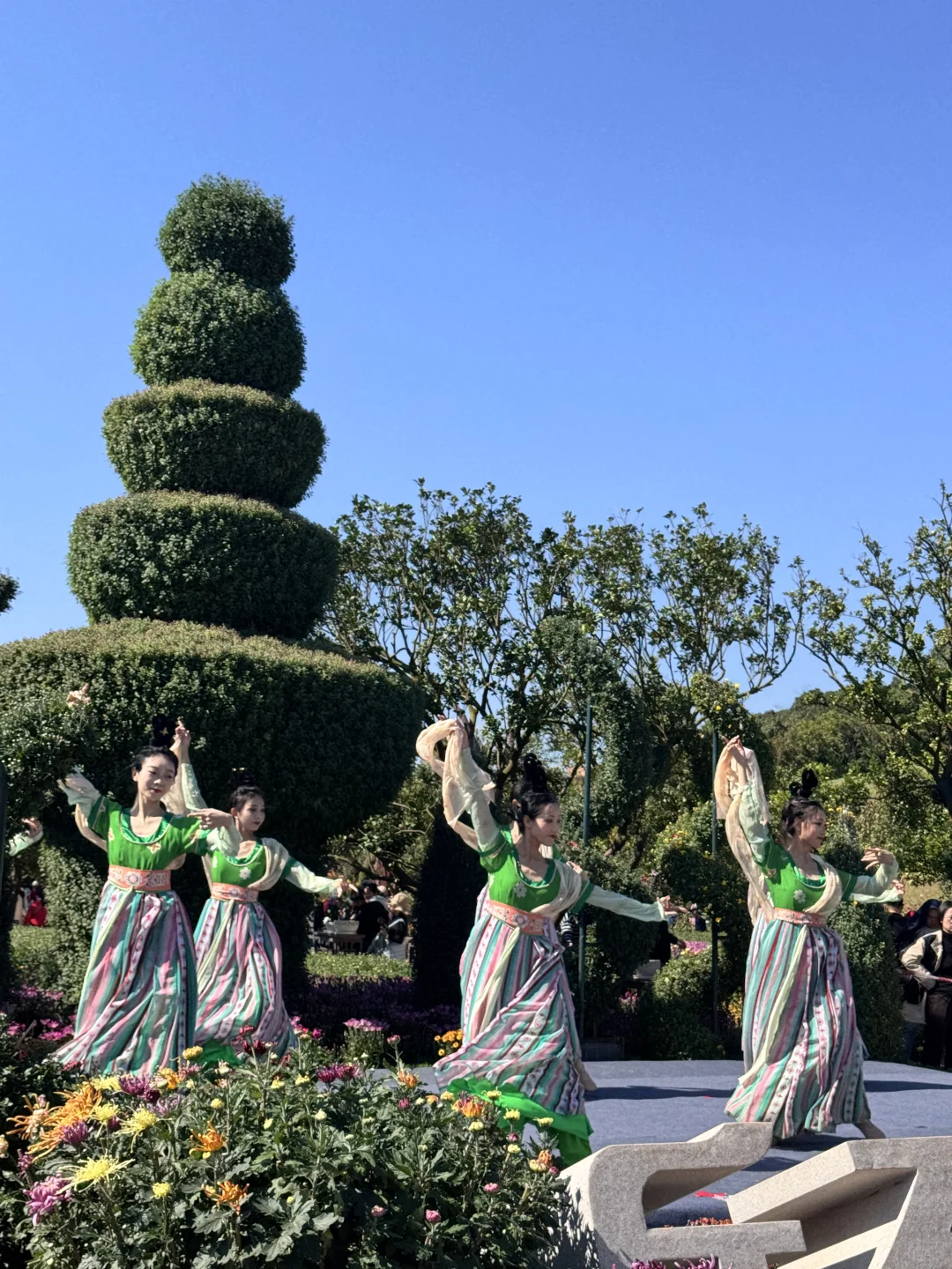 南宁菊花展！！第一梯队速报！！