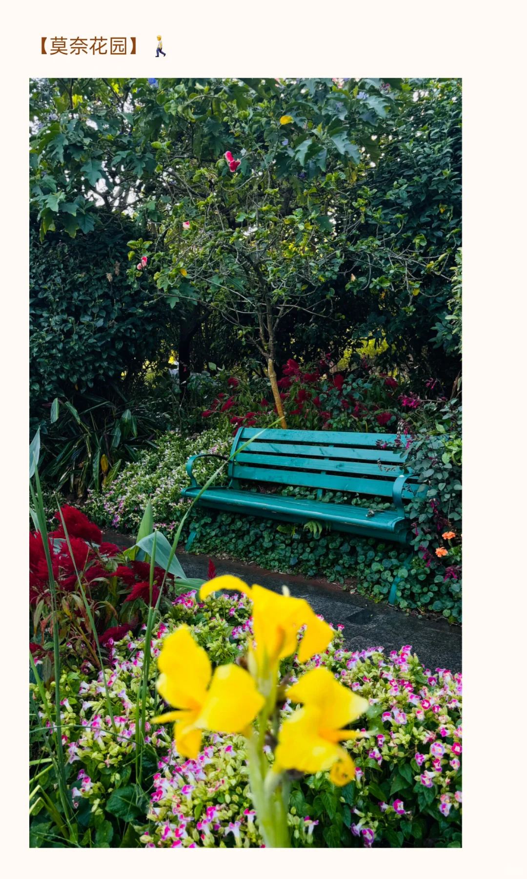 南宁青秀山11月份游玩攻略