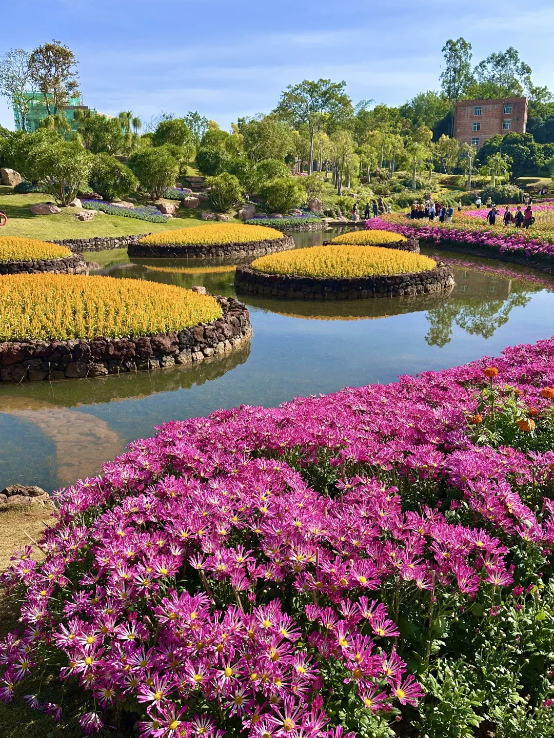 11.27青秀山实况！美得像童话