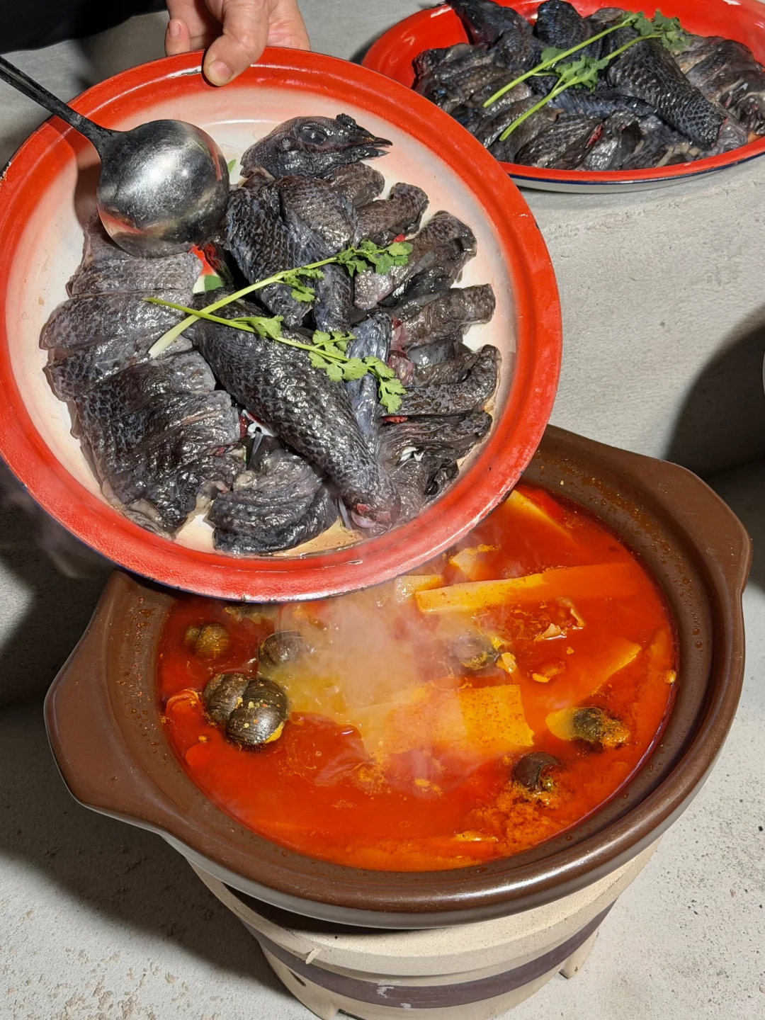 卧卧卧。。。。柳州有这么好吃的田螺乌鸡煲啊！