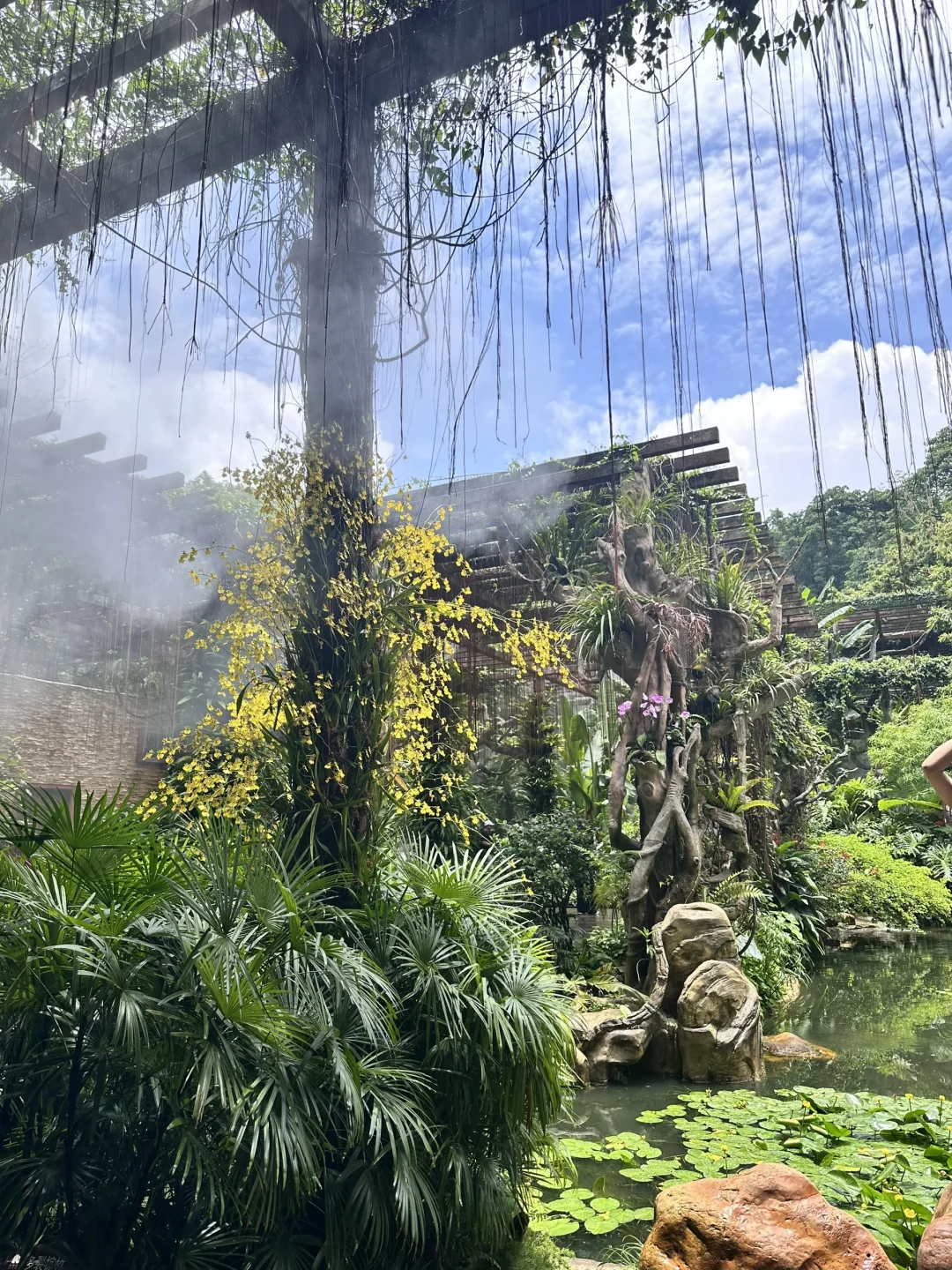 南宁 我还会再来的