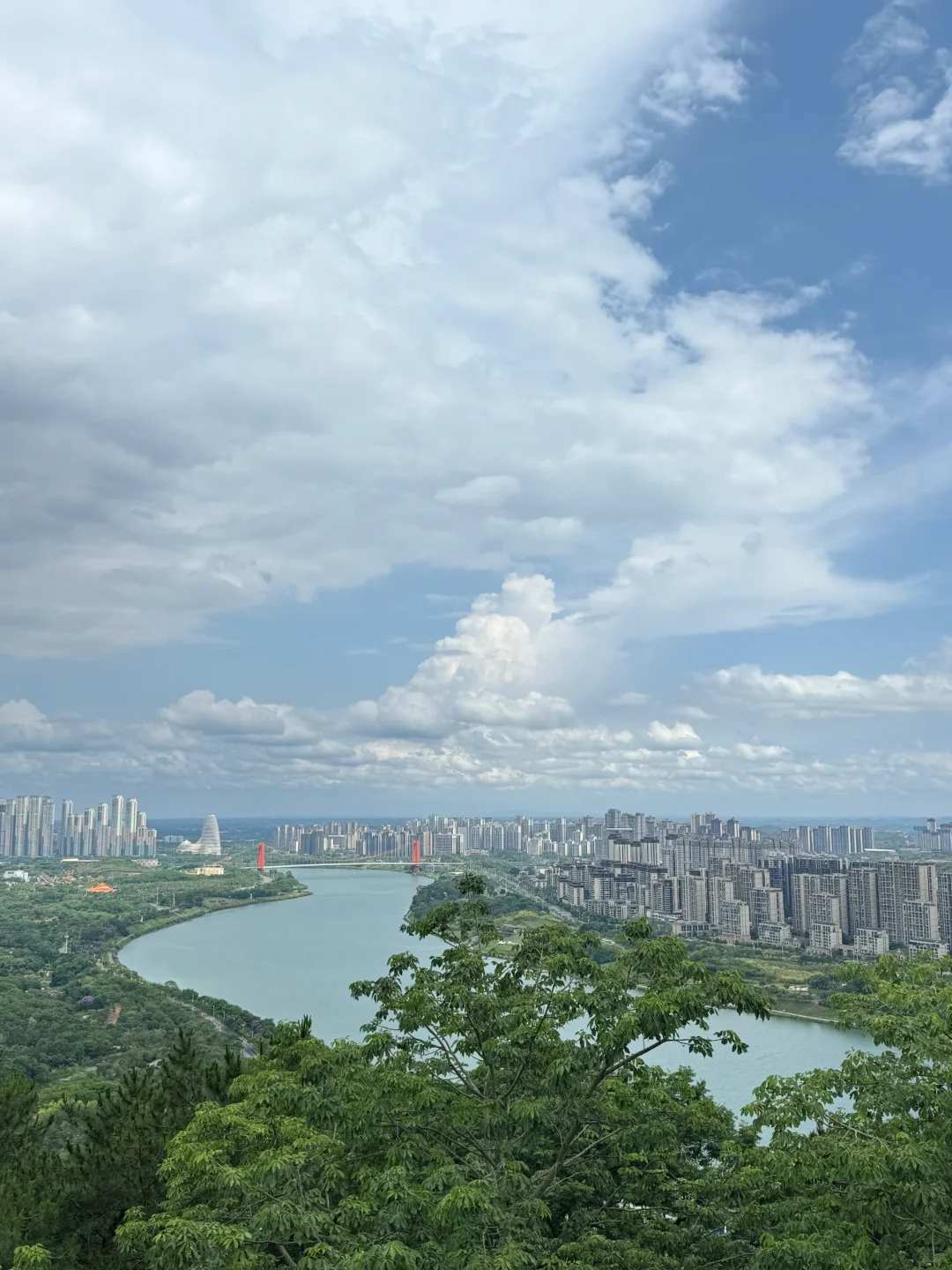 植物爱好者来南宁青秀山会激动的疯掉！