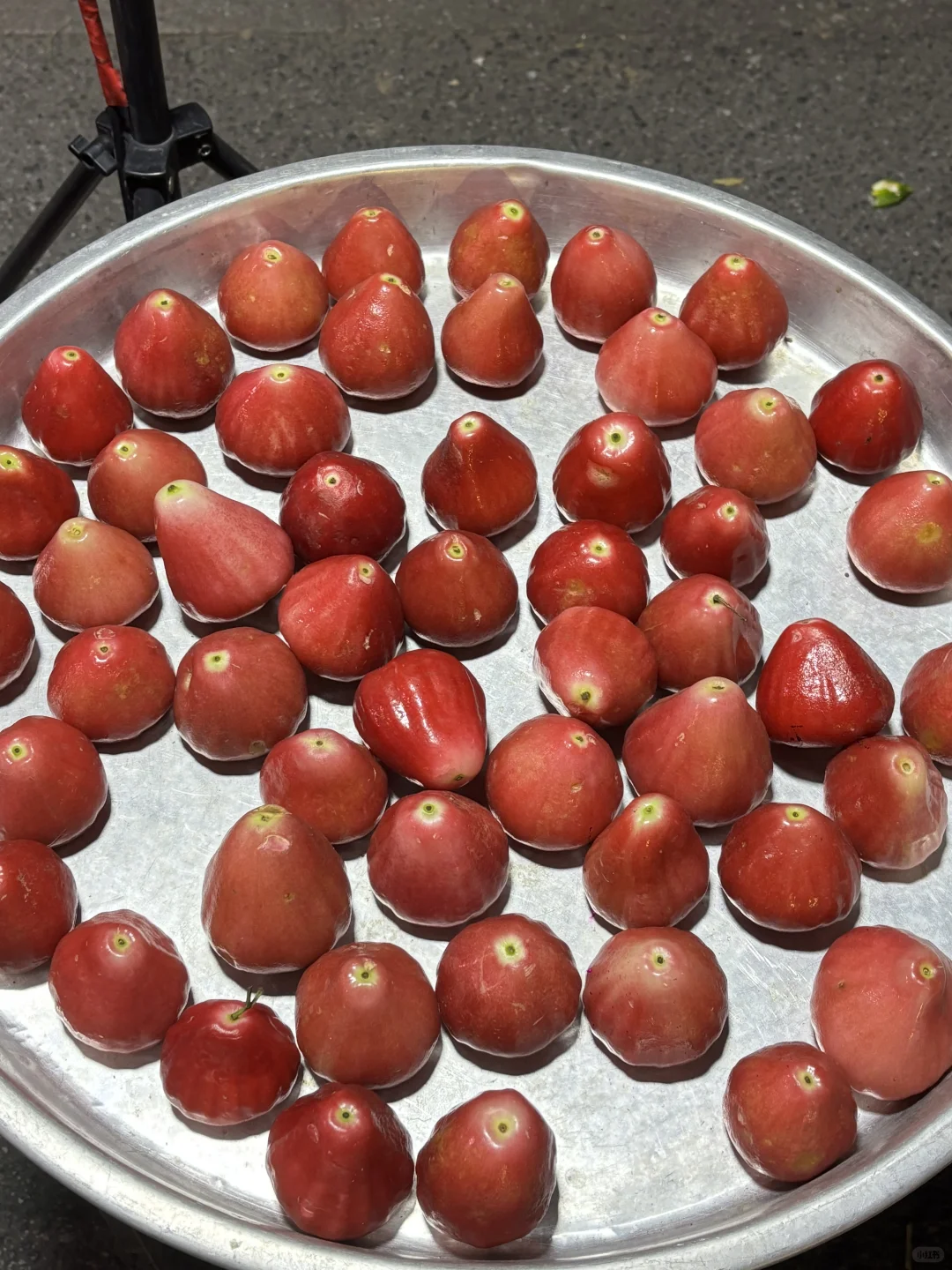 南宁水果真的10元一大堆❗️在这条街走不出来