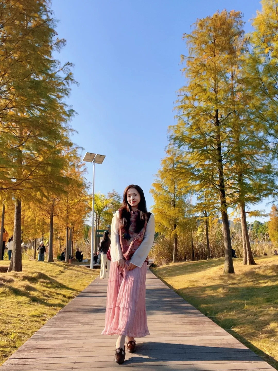 暖冬秋色🍂柳州龙湖公园水杉林