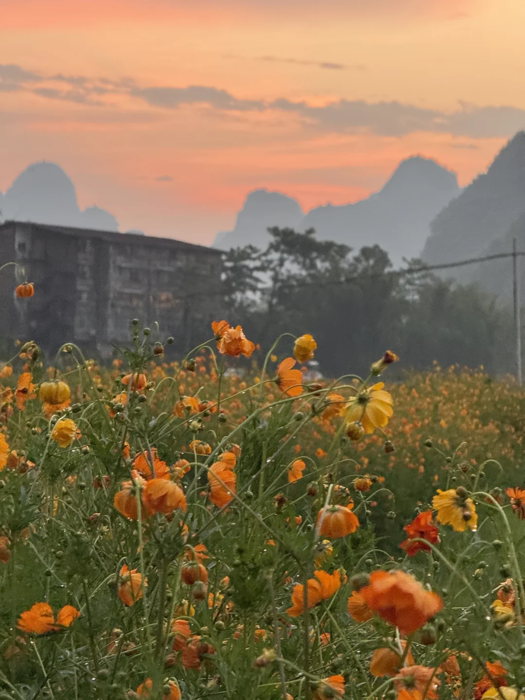 崇左-南宁 | 3天3晚，避开人流看山水真的香