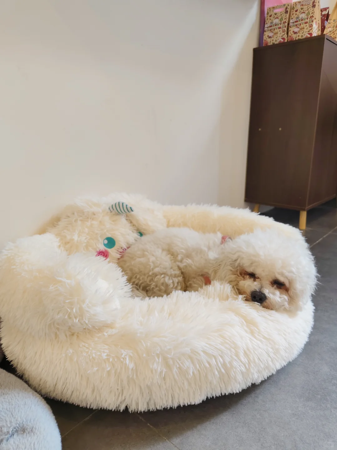 圣诞节来柳州玩有什么推荐吗？