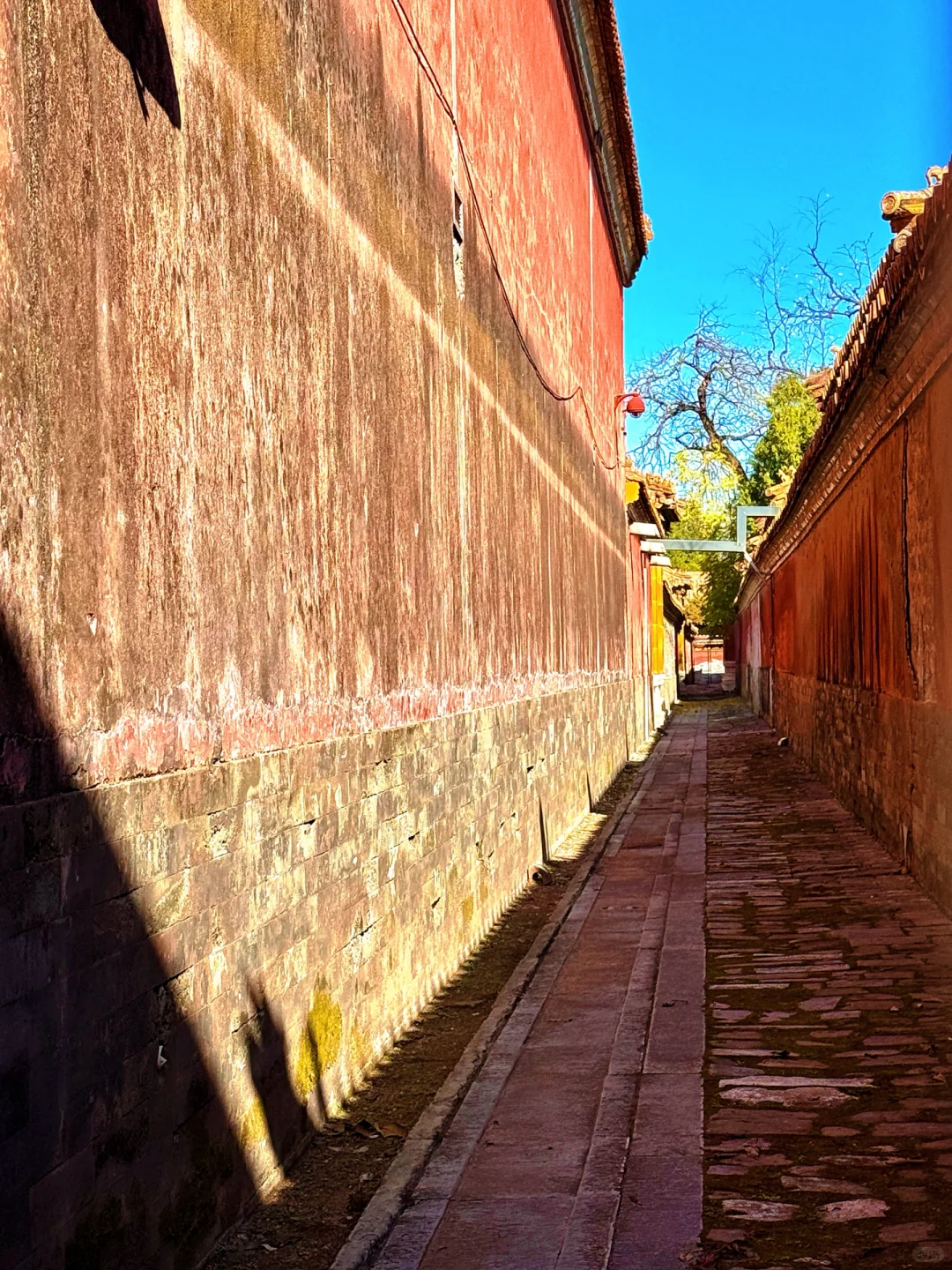 南宁周末两天赏秋攻略🍁看着一篇就够啦‼️