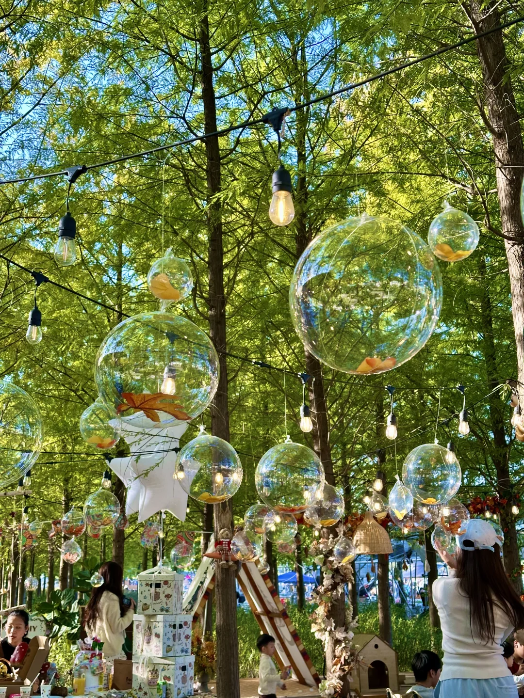 南宁！可以待一整天的绿光森林！！